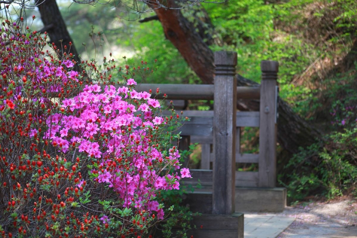Callaway Gardens setting